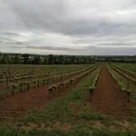 Au Calme 20 Min De La Face Aux Vignes Lieuran-les-Beziers