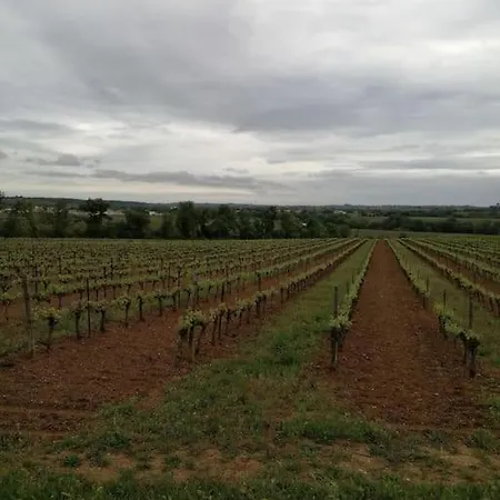 Au Calme 20 Min De La Face Aux Vignes Lieuran-les-Beziers