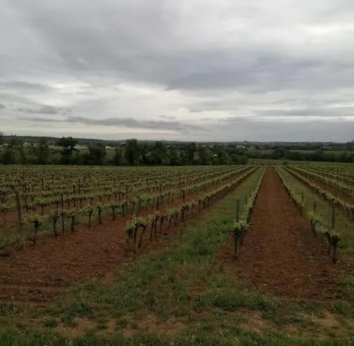 Au Calme 20 Min De La Face Aux Vignes Lieuran-les-Beziers